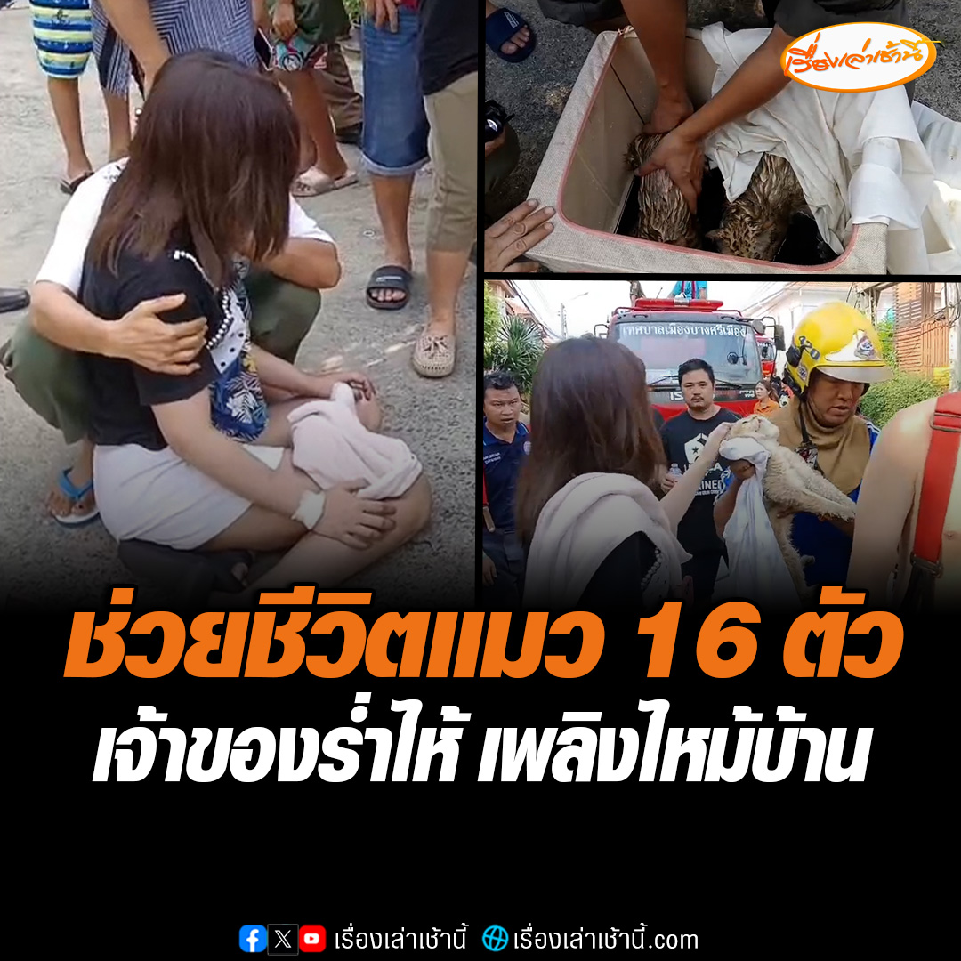 เกิดเหตุเพลิงไหม้ที่บ้านในพื้นที่ หมู่ 5 ต.บางศรีเมือง จ.นนทบุรี มีแมวที่เลี้ยงไว้บนชั้น 3 ติดอยู่ 16 ตัว จากทั้งหมด 17 ตัว โดยเจ้าของบ้านสามารถอุ้มหนีไฟออกมาเพียง 1 ตัว ทางเจ้าหน้าที่ช่วยแมวออกมาได้ทั้งหมด 15 ตัวแต่ยังหาไม่เจออีก 1 ตัว #เรื่องเล่าเช้านี้ #ข่าวช่อง3 #ข่าวภูมิภาค