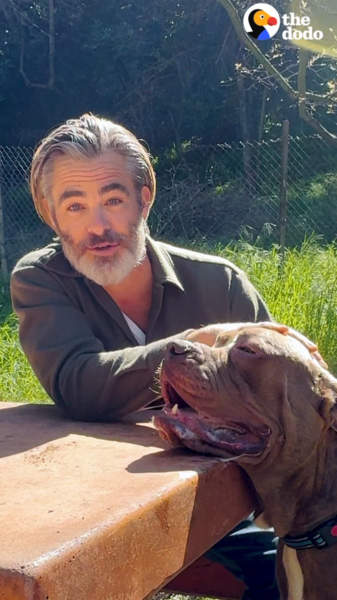 We’re setting celebrities and rescue dogs up on special dates in our new series #DodoDreamDate. In this episode, we help Chris Pine take his foster pups, Max &amp; Jack, out for a fun afternoon together!