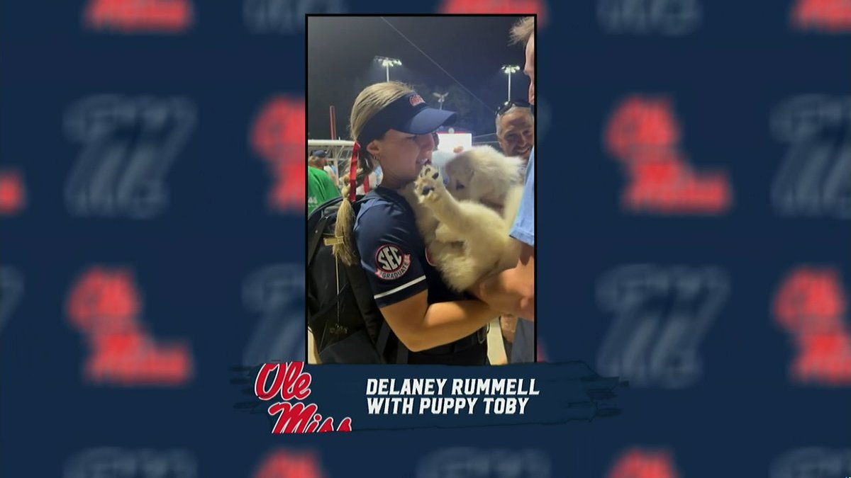12/10 would pet Toby Delaney Rummell | Amanda Scarborough