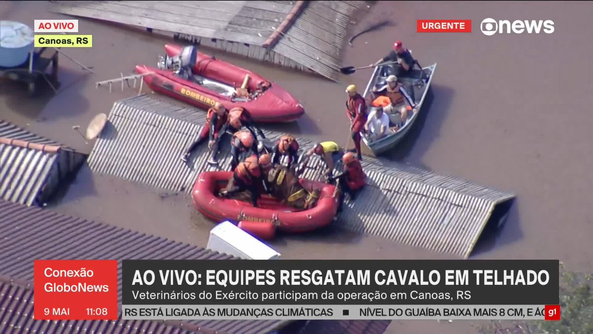 ASSISTA: cavalo é colocado deitado em bote de resgate em Canoas, no Rio Grande do Sul, nesta quinta-feira (9). ➡ Assista ao #ConexãoGloboNews, com sinal aberto no globoplay: #GloboNews @Camilabomfim Leilane Neubarth