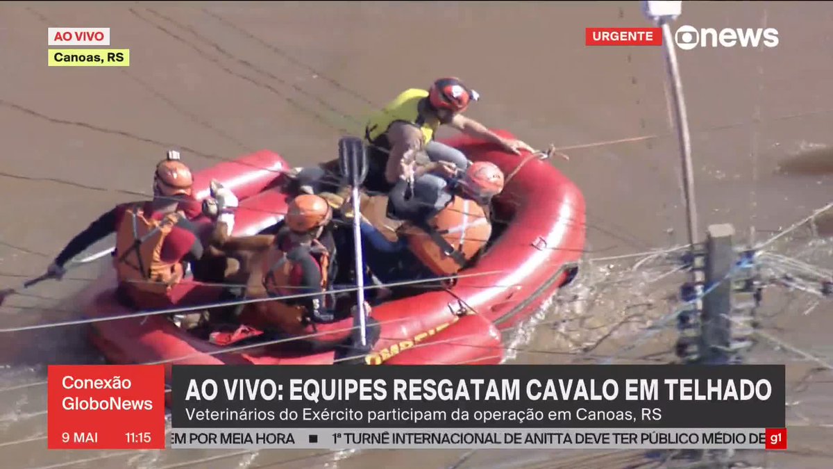 A #GloboNews transmite ao vivo o trabalho de resgate do cavalo "caramelo", que estava ilhado no telhado de uma casa na cidade de Canoas, no Rio Grande do Sul. ➡ Acompanhe no #ConexãoGloboNews, com sinal aberto no globoplay: