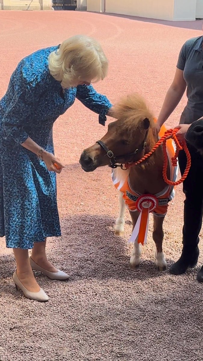 Today, Brooke’s mini mascots met The Queen at Buckingham Palace ahead of a reception marking our 90th Anniversary! 🧡 @royalfamily