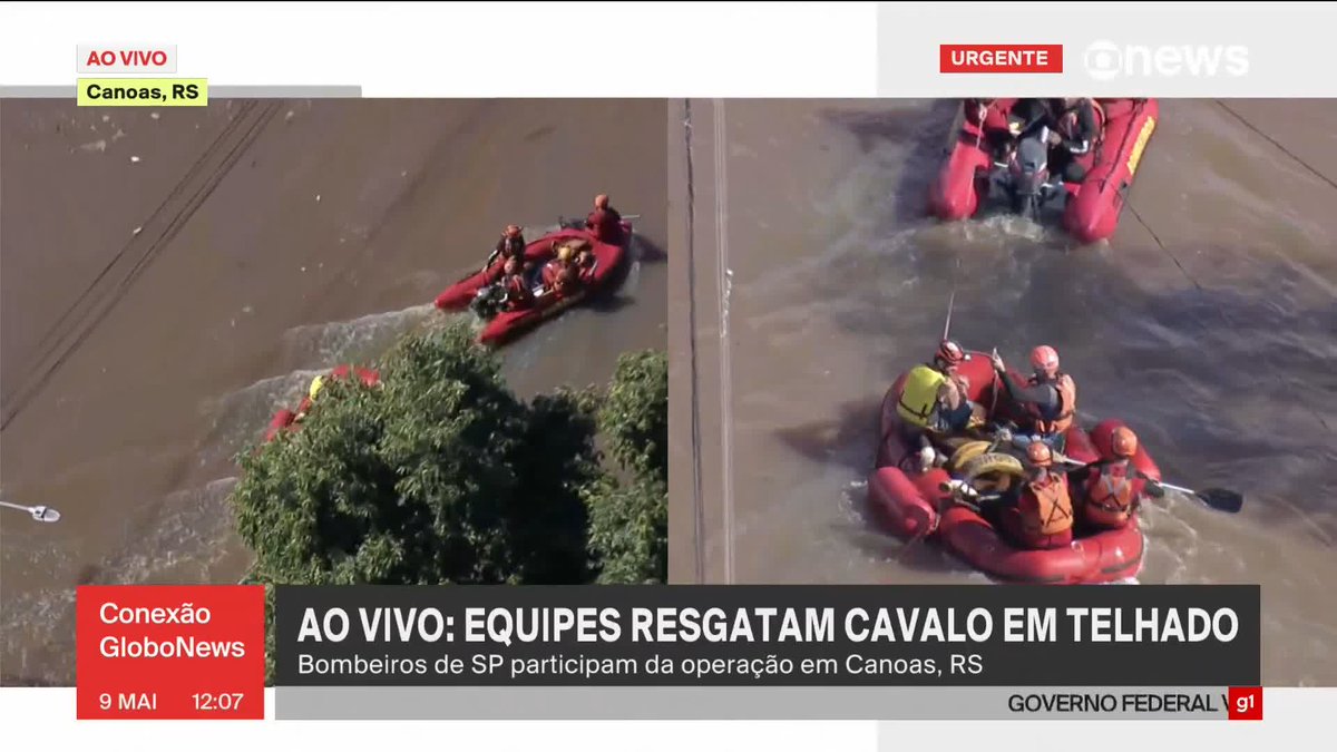 O cavalo caramelo é uma egua e estava ilhado há 5 ou 6 dias. Imagina o sofrimento desse bicho. Que bom que conseguiram resgatá-la. A comoção nas redes sociais fez sim a diferença.