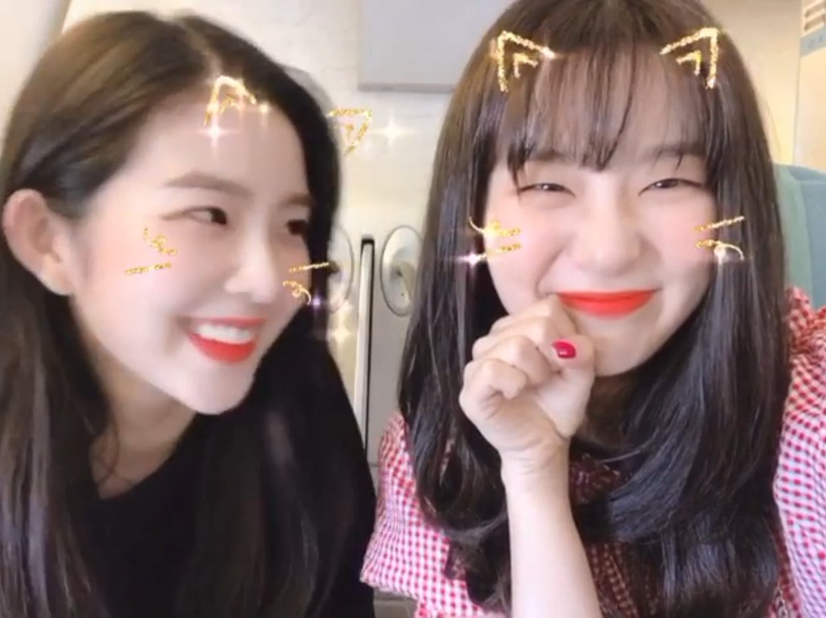SEULRENE: AIRPLANE BUDDIES 🐻🐰💕