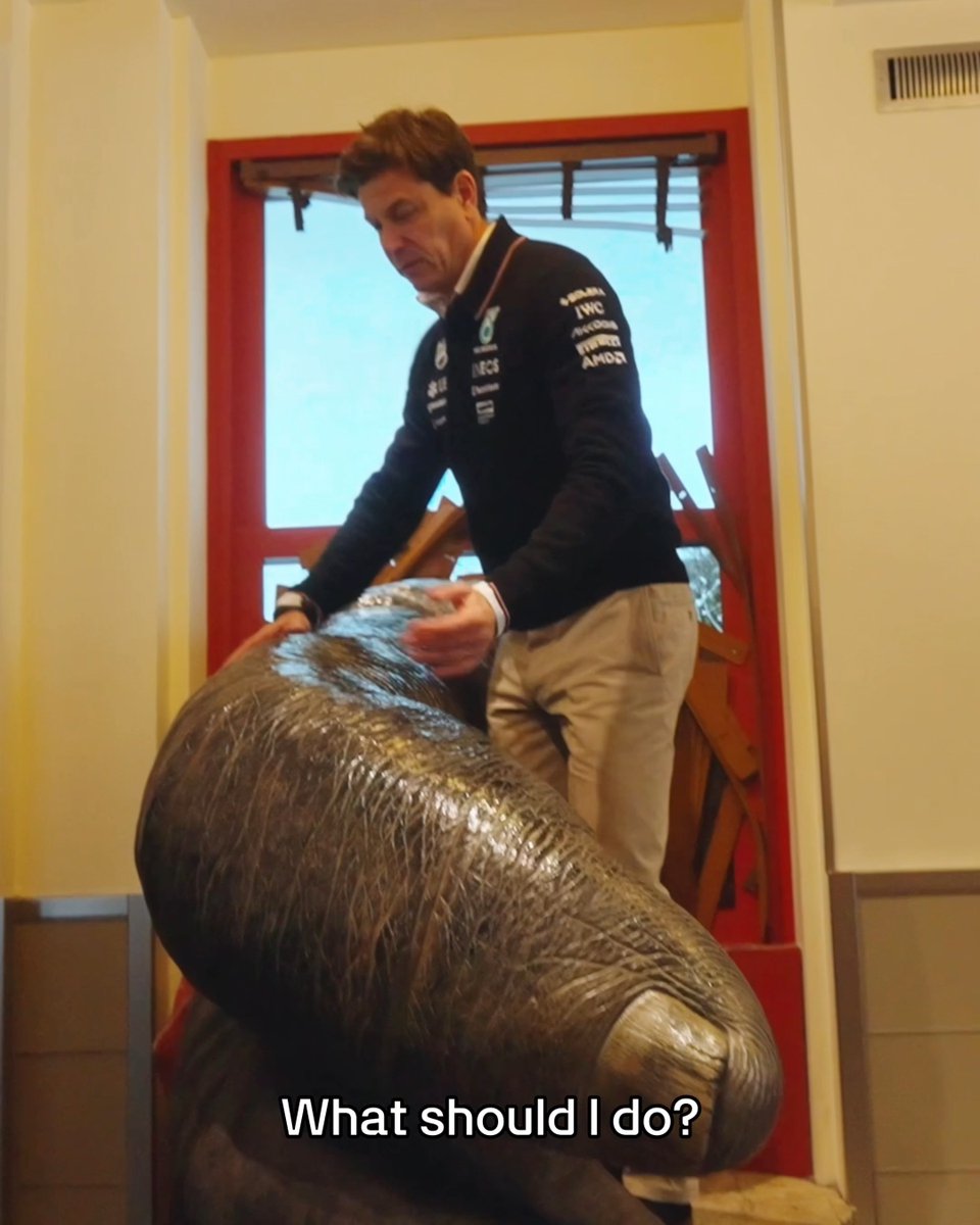 KING KONG VS TOTO WOLFF 🎬 (𝙰 𝙻𝚎𝚠𝚒𝚜 𝙷𝚊𝚖𝚒𝚕𝚝𝚘𝚗 𝙿𝚛𝚘𝚍𝚞𝚌𝚝𝚒𝚘𝚗)