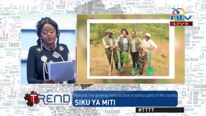 Siku Ya Miti: National tree growing exercise done in various parts of the country #TTTT