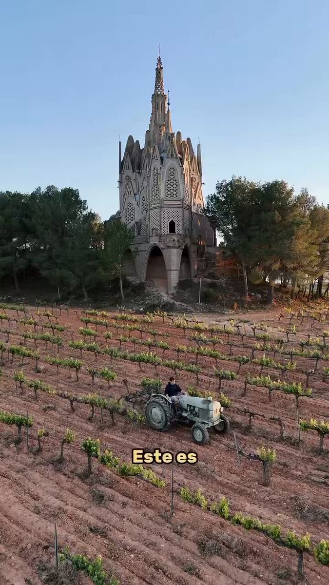 El abuelo, un Abril de 1979 decidió comprar un John Deere. Y después de 45 años trabajando sigue en pie. Antes las cosas se hacían bien hechas. Sin electrónica ni pantallitas, enfocado a hacer el trabajo y hacerlo bien. ¿Qué opináis? #vino Vía CavaVives Ambròs