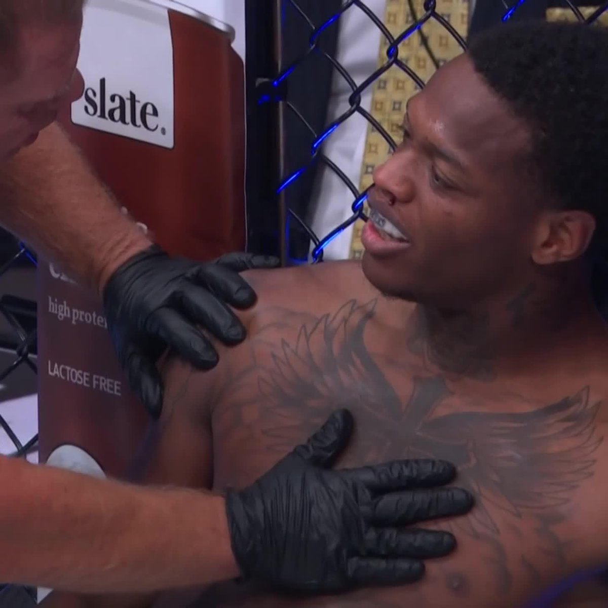 RIBOVICS JUST PUT MCKINNEY OUT COLD IN UNDER A MINUTE #UFCStLouis