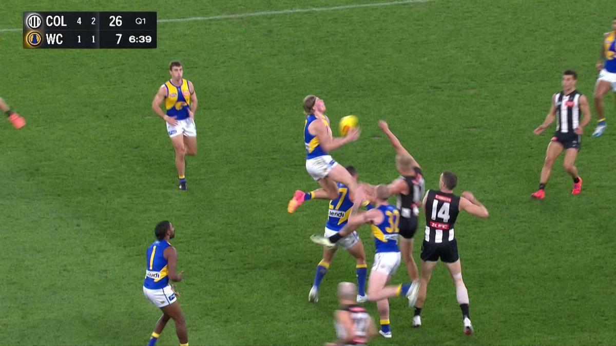 🚨 HARLEY HANGER 🚨 #AFLPiesEagles