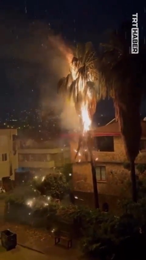 Adana'da bir evin bahçesindeki ağaca yıldırım düştü.