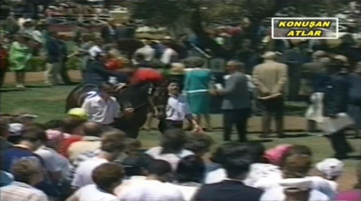 🏇 Pek çok yarış meraklısı, yarışın aslında padokta oluşmaya başladığını bilmez. Atlar yarış öncesi vücut dilleriyle padokta kendilerini sergilerler. 🗣️ David Bernstein: 🏇 Atın yarıştan yarışa ayaklarındaki, aksiyonlarındaki değişikliğe bakarım. Terleyip terlemediğini, sıkıntılı olup olmadığını anlamaya çalışırım. Tabi böyle şeyler attan ata değiştiği için atı tanımak da önemli. 🗣️ Greg Ferraro: 🏇 Padokta atın tavrına bakılmalıdır. Hevesli mi, kasları nasıl, koşmaya hazır mı yoksa fazlasıyla sakin ve sessiz mi? Kuru mu, terliyor mu? Bunlar o günkü performansını çok değiştirir. 🏇 Doğada her şey simetriktir. Eğer atın sağ dizi, sol dizinden farklıysa ve farklı hareket ediyorsa o bölgede bir sorun var demektir. 🏇 Dikkat edilmesi gereken en önemli nokta ise atın sağlığının bir yarıştan diğerine aynı kalmadığıdır ki bu dinamik bir şey ve her gün değişiyor neredeyse. Yarışseverlerin çoğu favori bir ata yapışıyor ve onun her yarış aynı performansı göstereceğini zannederek günlük değişimleri farketmiyorlar. Atlar değişiklik gösterirler, yarış günü bir sorunu varsa ve bunu padokta gösteriyorsa yarışta önceki performansını gösteremeyecektir.