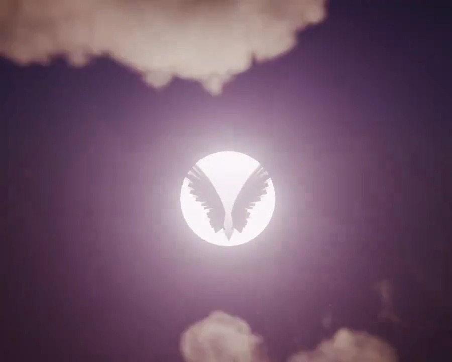 Join our ascent.