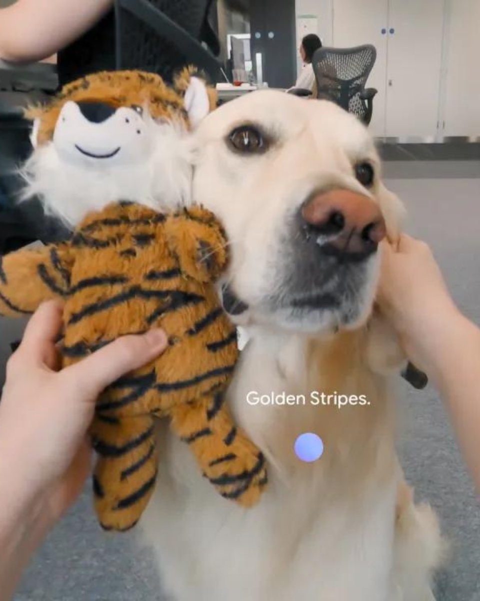 We’re sharing Project Astra: our new project focused on building a future AI assistant that can be truly helpful in everyday life. 🤝 Watch it in action, with two parts - each was captured in a single take, in real time. ↓ #GoogleIO