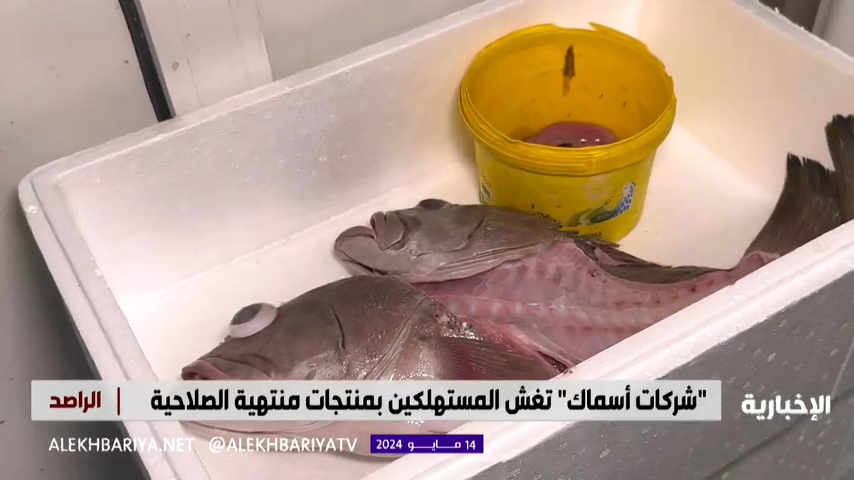 عاجل 🔴 قبل توصيلها لأحد أكبر الفنادق والمطاعم .. وزارة التجارة تداهم شركة بحريات كبيرة في العاصمة الرياض تلاعبت بتاريخ صلاحية منتجاتها .. وضبطت 264 ألف كغم من البحريات منتهية الصلاحية. -