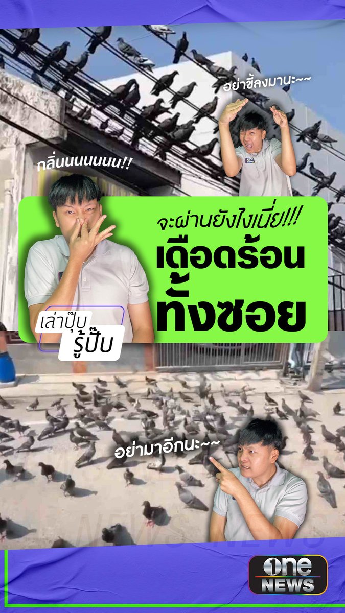 ลุงไม่สน! ให้อาหารนกพิราบ 200 ตัว ลั่นจะให้จนกว่าชีวิตจะหาไม่ #เล่าปุ๊บรู้ปั๊บ