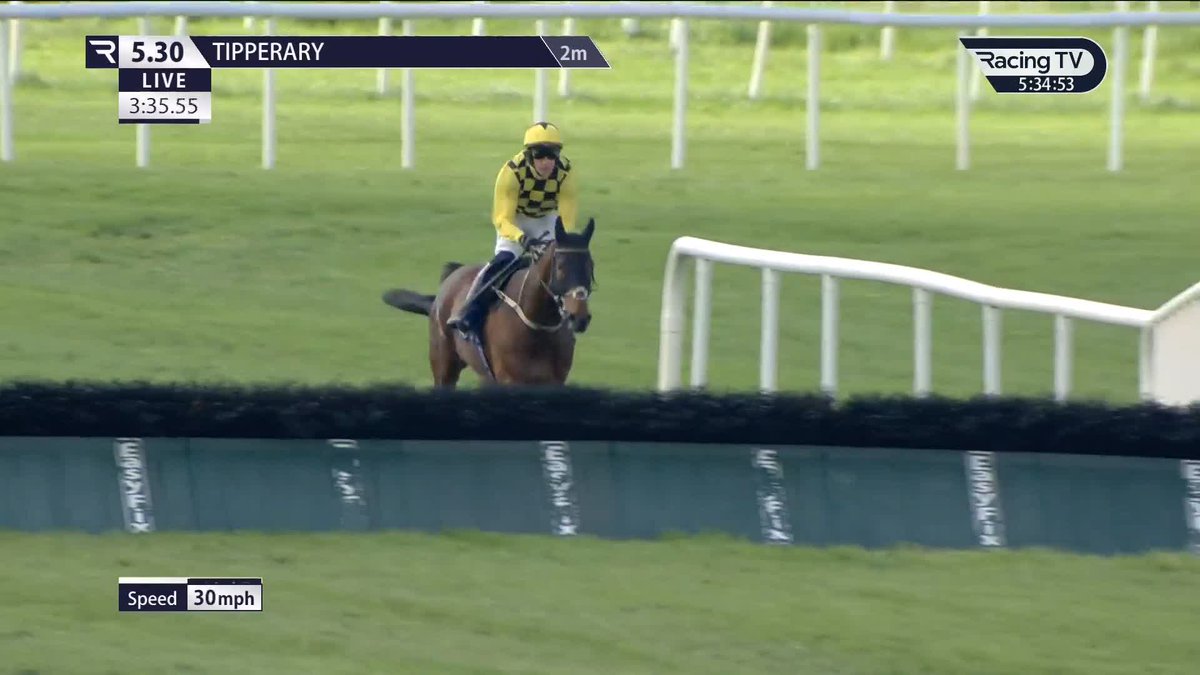 🟡 ⚫️ Sixth in the Triumph Hurdle, Salvator Mundi wins by half the track Tipperary Racecourse