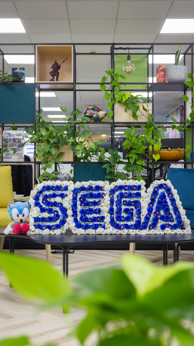 Knuckles is red, Sonic is blue, We made a beautiful SEGA flower arrangement, Just for you! 💐