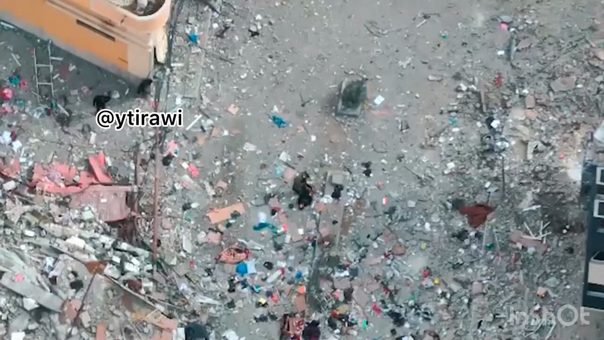 🧵 Gaza city | Warning ( ⚠️) Extremely shocking footage showing the execution of unarmed civilians by Israeli forces. I obtained the scenes from a social media account of an Israeli soldier from the paratroopers brigade. Execution of a civilian trying to recover a dead boy ->