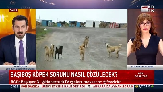 Başıboş köpek sorunu nasıl çözülecek? Ciner Medya Grubu Ankara Temsilcisi Fevzi Çakır #GünBaşlıyor'da değerlendirdi.