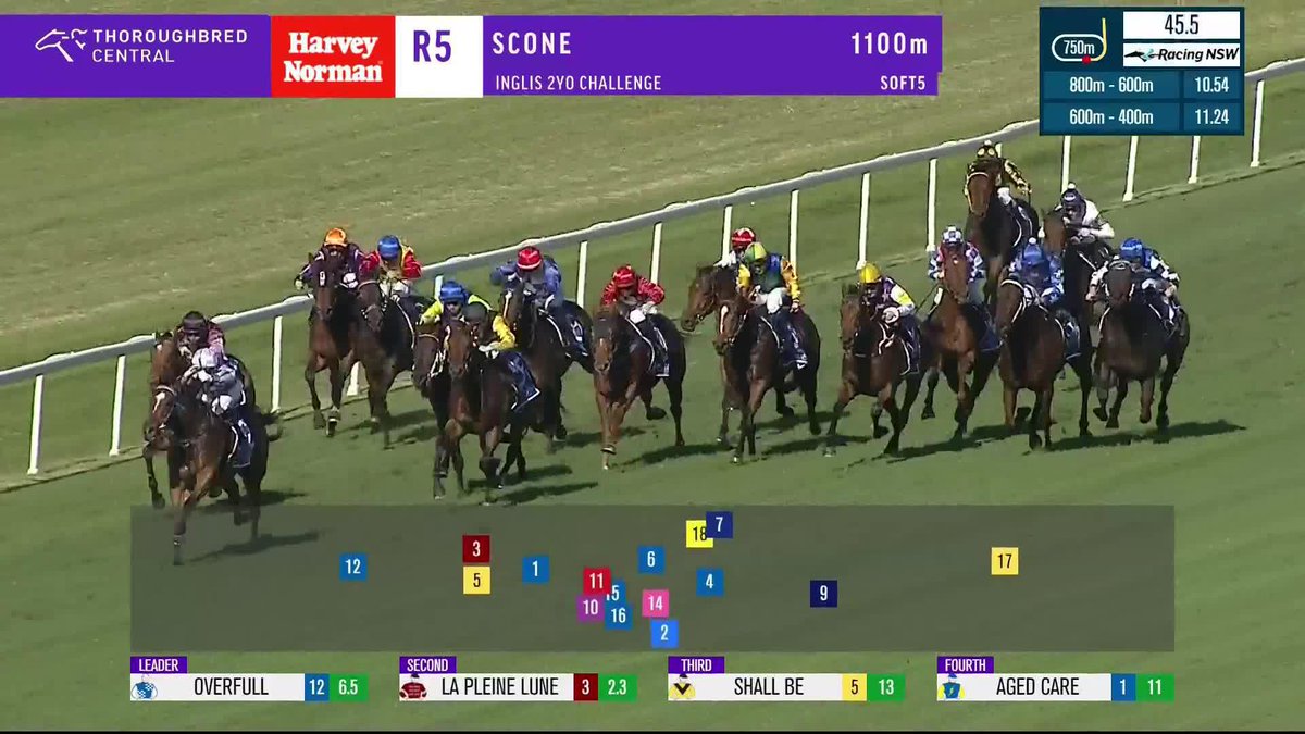 Overfull goes all the way and hangs on to take out the 5th race at Scone. Peter Robl