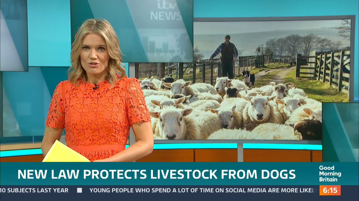 Dog walkers could have their pets seized by the police if they let them 'terrorise farm animals', under new proposals being supported by the government. Richard Gaisford reports.