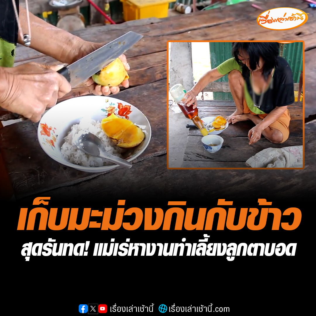 สุดรันทด!แม่วัย 70 ปี เร่ออกหางานทำ หวังหาเงินมาเลี้ยงลูกตาบอด 2 คน แต่ไม่มีคนรับเพราะตัวเล็ก ร่างกายแคระ ต้องไปขอข้าววัด เก็บมะม่วงให้ลูกกินกับข้าวประทังชีวิต อ่านต่อ : #เรื่องเล่าเช้านี้ #ข่าวช่อง3 #แม่หาเงินเลี้ยงลูก #ลูกตาบอด