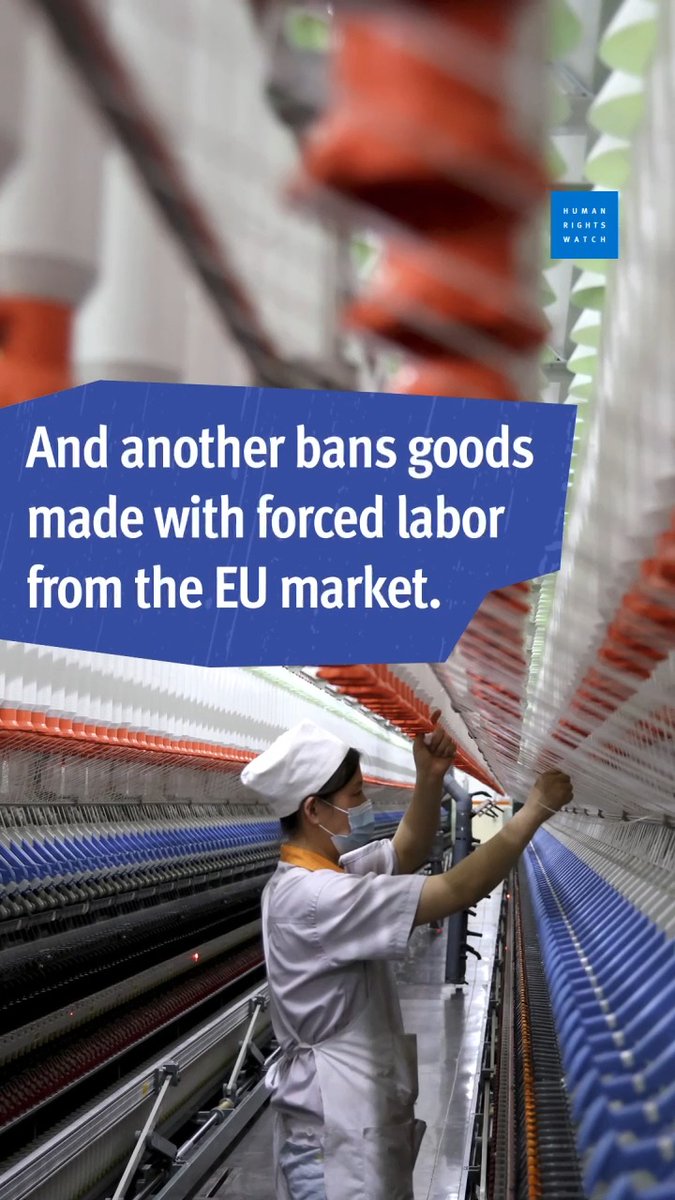 Corporate accountability is on the ballot this June in the 2024 European elections. Before you #UseYourVote for #HumanRights, see where candidates and parties stand on corporate accountability: