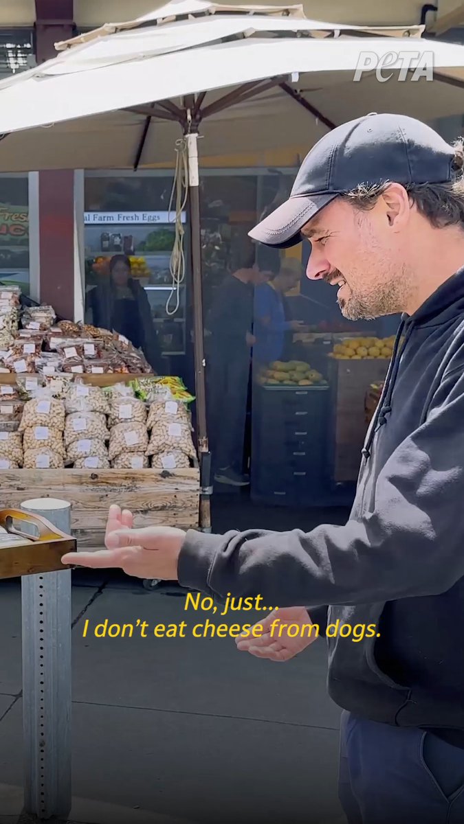 We fed people “dog milk” cheese and you won’t believe how they reacted! 👀