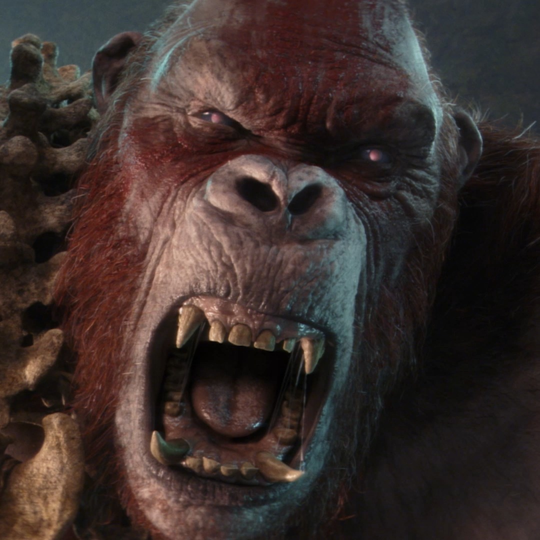The titans that made a SMASH in #GodzilaXKong💥 Show us your favourite with a GIF...