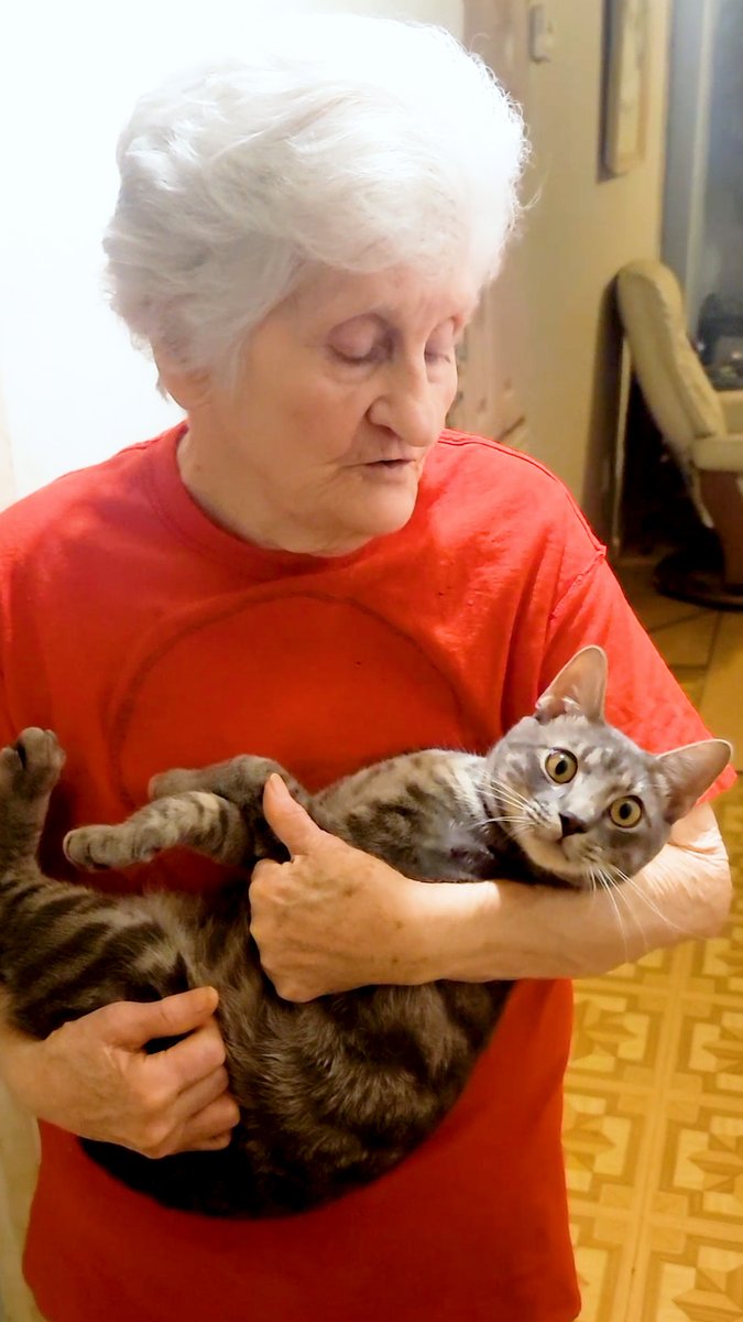 This grandma despises her cat — and loves him very, very much 💜