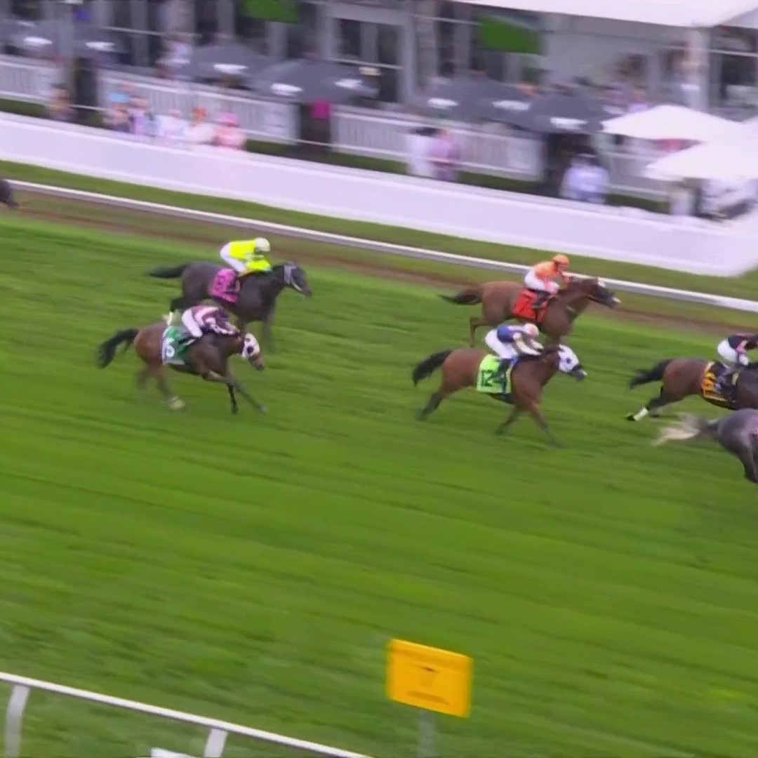 Grooms All Bizness was FLYING down the stretch to WIN the Jim McKay Turf Sprint! 💨