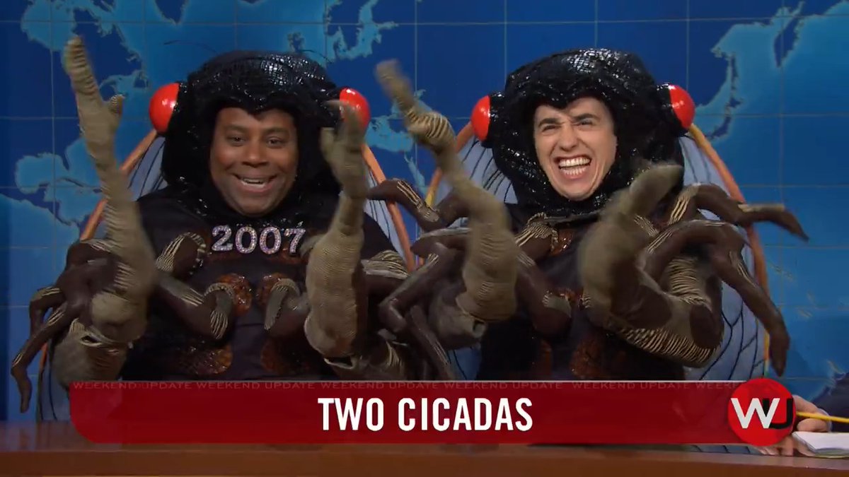 Two cicadas, everyone. #SNLFinale
