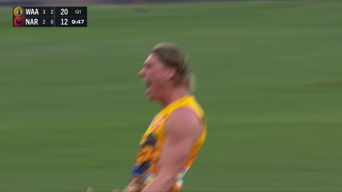 HARLEY REID, THAT IS SENSATIONAL 🤩 #AFLEaglesDees