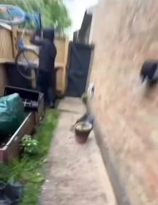 Brave woman confronts thief stealing a bike from her property