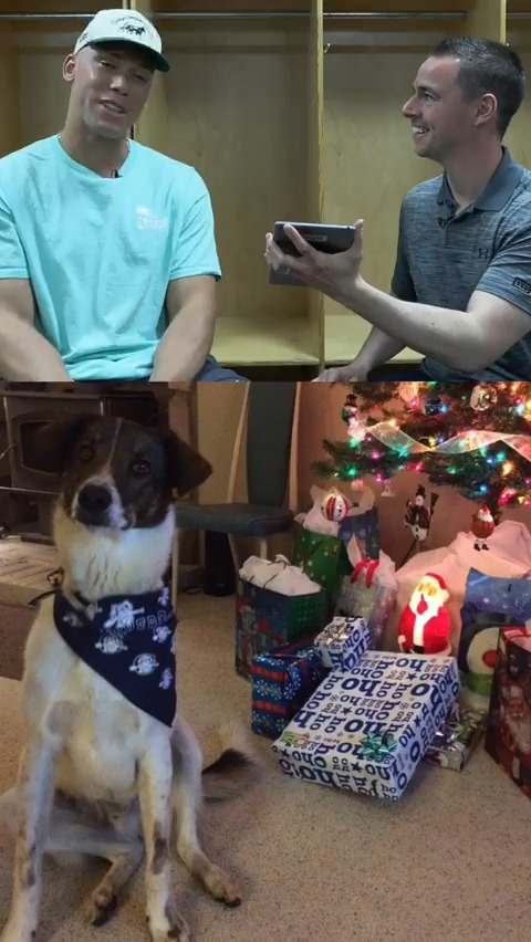 Before Gus and Penny, there was Lucky 🐶 Aaron Judge hops on a new episode of The Feed with Matthew Stucko to talk about his top social media posts. Watch NOW on the YES App ➡️