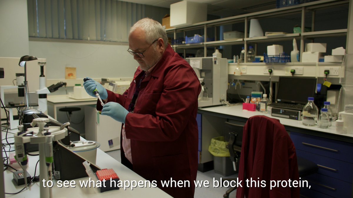 Professor Alex Tonks and his team from Cardiff University have found a protein that is altered in people with AML. We want to thank you, the Blood Cancer UK community for helping us to conduct this life-saving research.