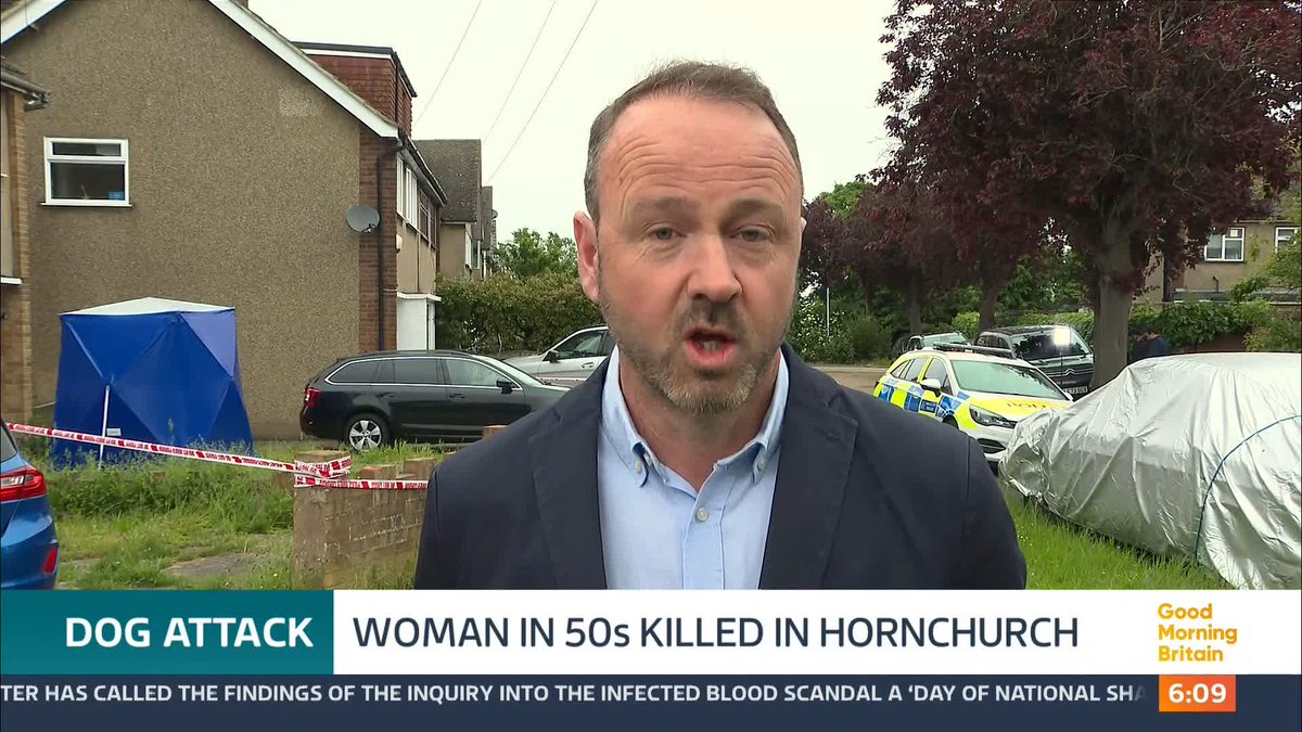 A woman in her 50s has been mauled to death by her XL bully dogs in east London. The dogs were registered XL bully dogs, the Police said.