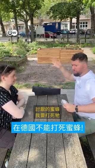 🇩🇪在德国不能打死蜜蜂! 在德国千万别杀蜜蜂! 根据联邦自然保护法规定,杀蜜蜂是违法行为。打死蜜蜂可能会面临高额罚款!🐝🐝🐝#dweuromaxx