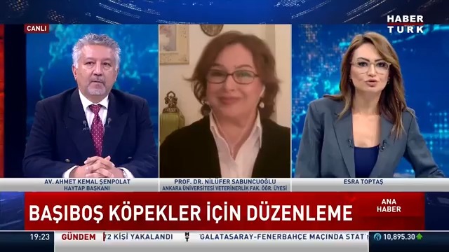 Başıboş köpekler için düzenleme... Köpek saldırıları sona erecek mi? HAYTAP Başkanı Avukat Ahmet Kemal Şenpolat #AnaHaber'de Esra Toptaş'a anlattı.