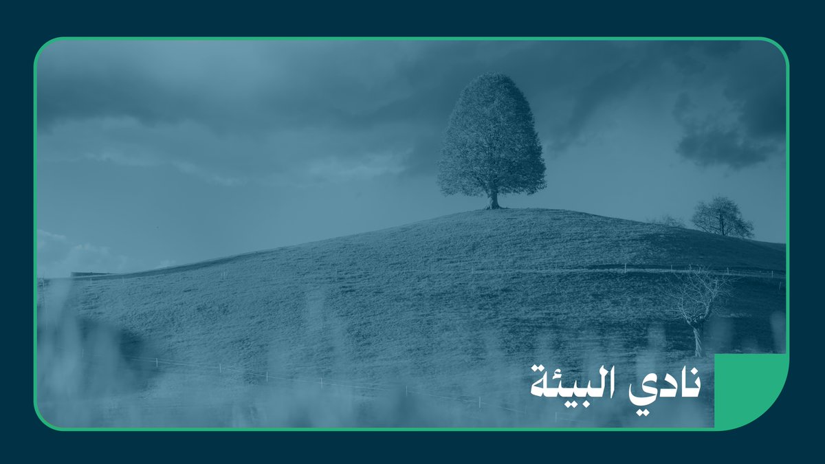 يعمل "نادي البيئة الطلابي" على تعزيز الاستدامة البيئية.. من خلال التوعية، وإشراك أعضائه في مناقشة قضايا البيئة، وتقديم حلول وابتكارات حيالها #الأندية_الطلابية_في_نورة #جامعة_الأميرة_نورة #PNU