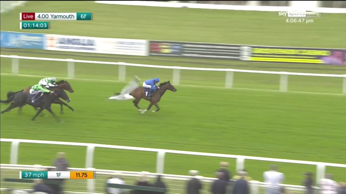 🏆 AGE OF GOLD x "Frankel" makes the perfect winning debut for Charlie Appleby and William Buick at Yarmouth He lengthened beautifully when he hit the front, he looks very useful indeed 👀 The second horse, Back In Black, goes down as a major eye-catcher