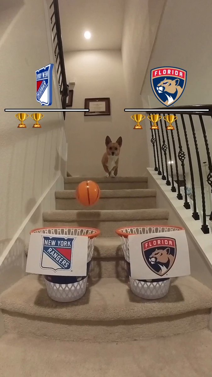 THE CORGI HAS SPOKEN 👀 #StanleyCup 📺: Florida Panthers vs. New York Rangers Game 1 TONIGHT at 8p ET on ESPN, ESPN+, Sportsnet, and TVA Sports