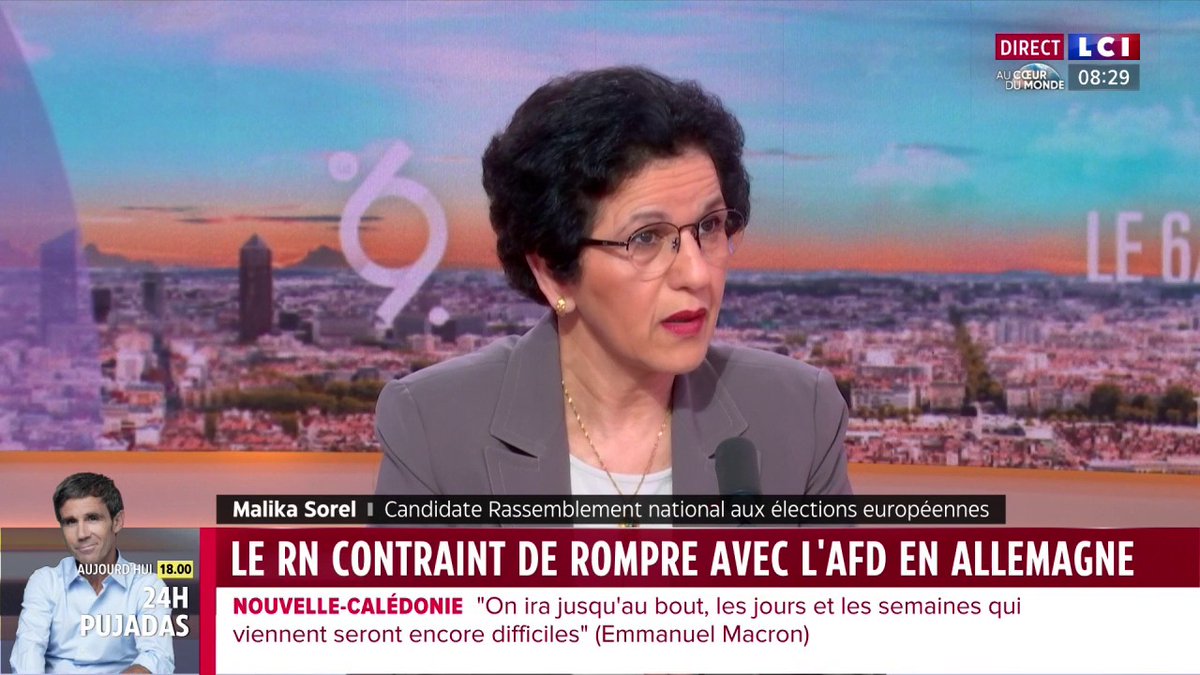 🗣️ "Je lance un appel aux médias : faites attention, soyez bien avisés, parce que le traitement qui m'a été infligé depuis le début de mon engagement, il est regardé par d'autres enfants de l'immigration" : Malika Sorel.