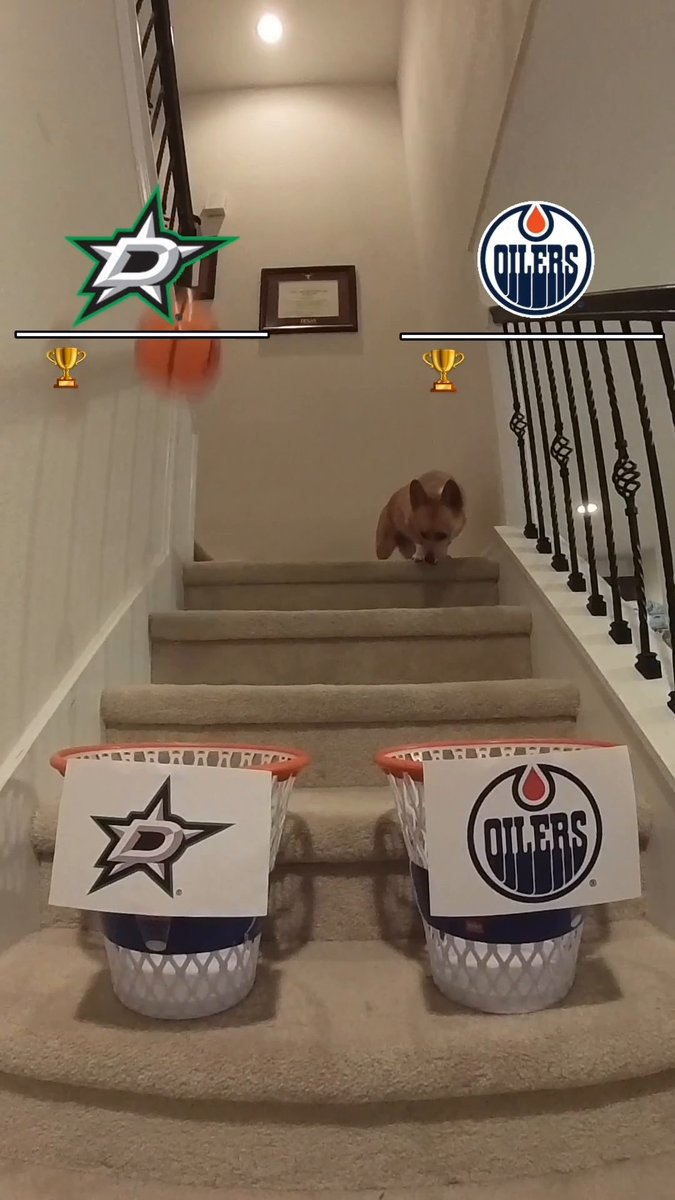 Air Corgi looks into the future... 🔮 #StanleyCup 📺: Edmonton Oilers vs. Dallas Stars Game 1 TONIGHT at 8:30p ET on NHLonTNT (truTV), HBO Max Sports, Sportsnet, and TVA Sports