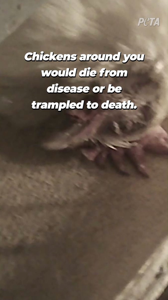 What if you were also born into this life of pain & suffering?