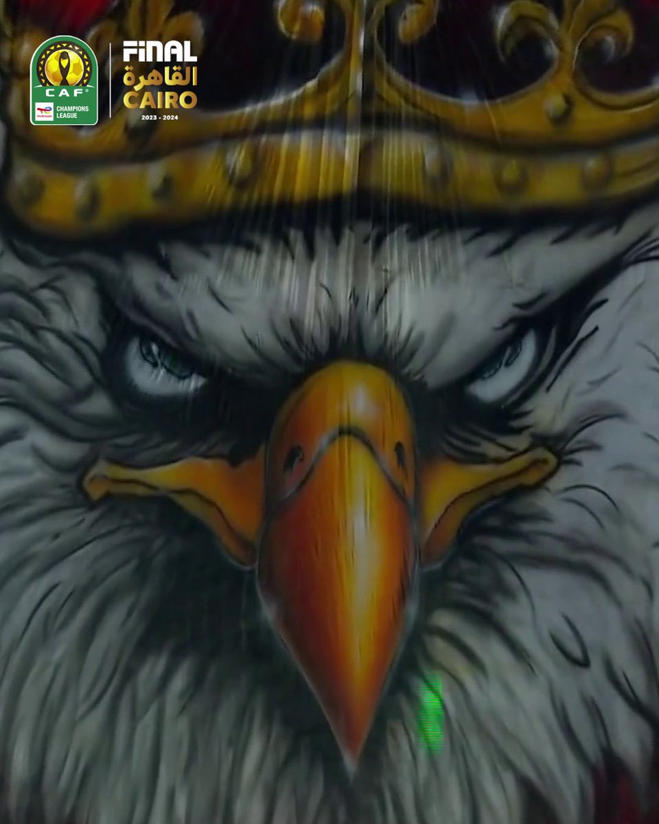 تيفو الاهلي بتصوير الكاف 🦅🦅
