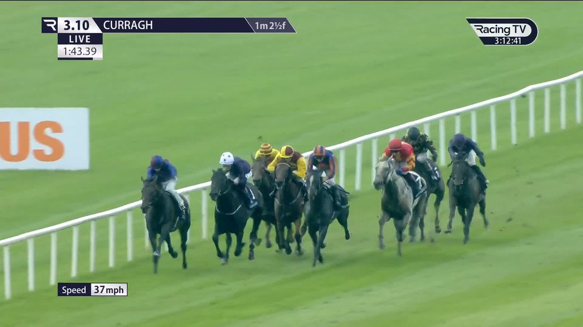 Wow! 😱 𝐖𝐡𝐢𝐭𝐞 𝐁𝐢𝐫𝐜𝐡 finally fells old nemesis Auguste Rodin in the Tattersalls Gold Cup The Curragh Racecourse 𝑊ℎ𝑎𝑡 a performance 👀
