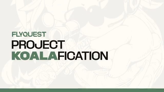 Bringing more FlyQuest to the the Counter-Strike scene! For every ACE Or pistol round won by the Aussies, we will be adopting a koala for a month! Introducing Project Koalafication 🐨