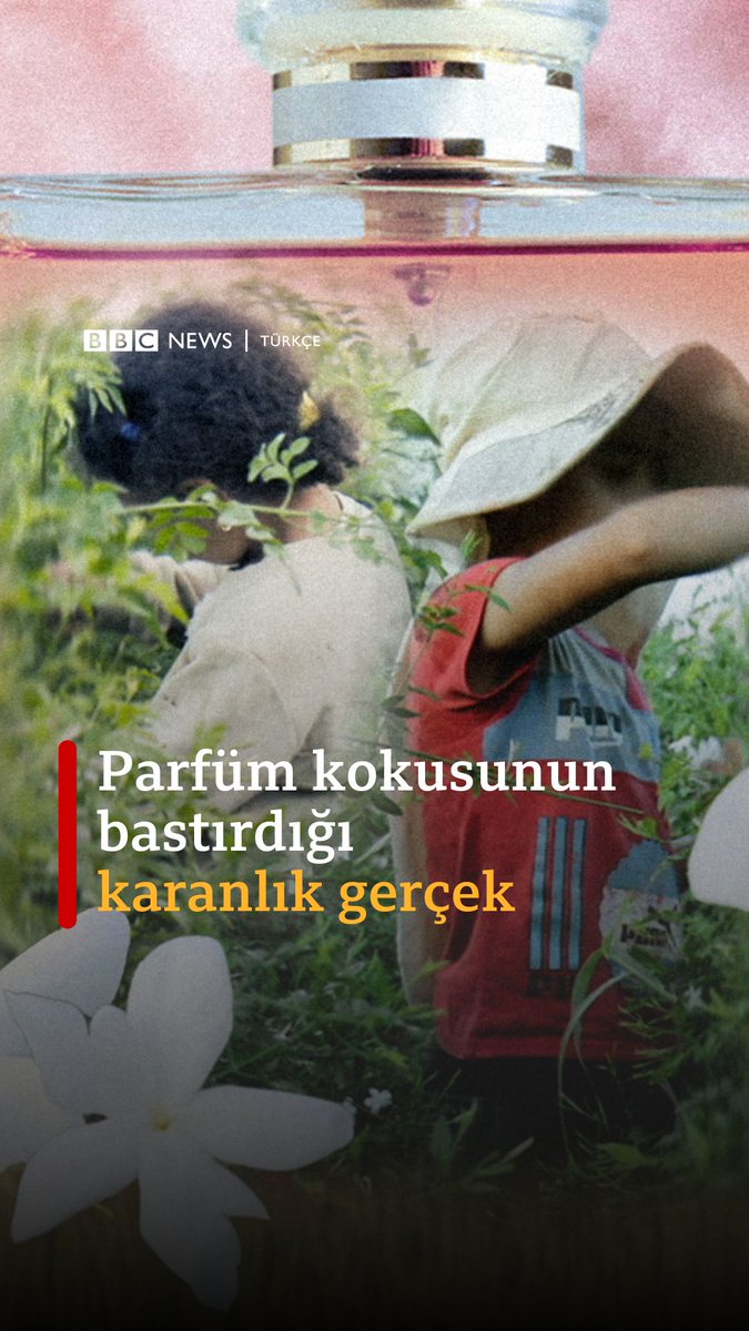 Parfüm kokusunun arkasındaki karanlık gerçek: "Çocuk işçiliği"