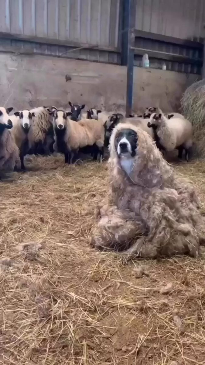 Undercover.. 😅